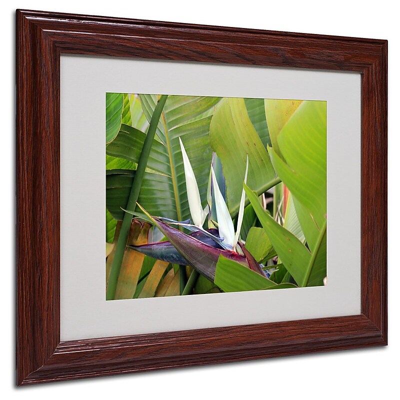 Trademark Fine Art 'Paradise 2' 11" x 14" Wood Frame Art image 1
