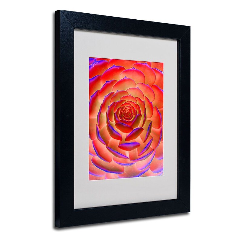 Trademark Fine Art 'Plant Art' 11" x 14" Black Frame Art image 1