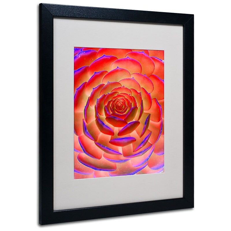 Trademark Fine Art 'Plant Art' 16" x 20" Black Frame Art image 1
