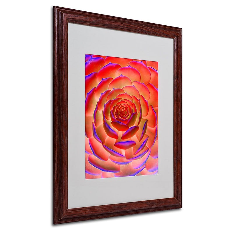 Trademark Fine Art 'Plant Art' 16" x 20" Wood Frame Art image 1