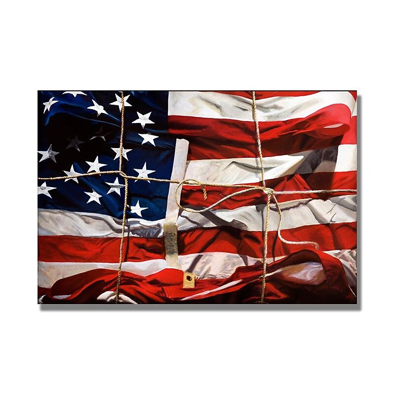 Trademark Fine Art 'American Wrap' 30" x 47" Canvas Art image 1