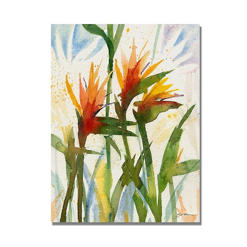 Trademark Fine Art 'Birds of Paradise' 24" x 32" Canvas Art image 1