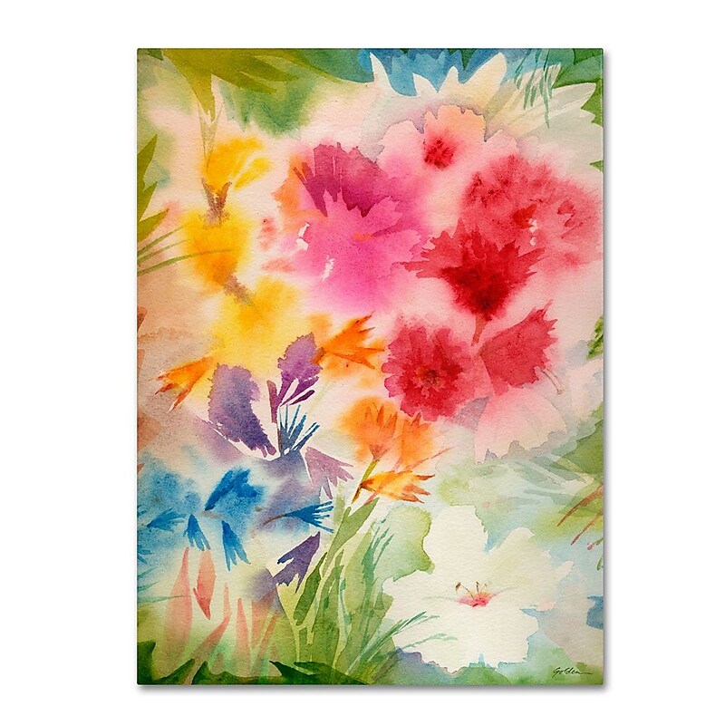 Trademark Fine Art 'Bright Garden' 35" x 47" Canvas Art image 1