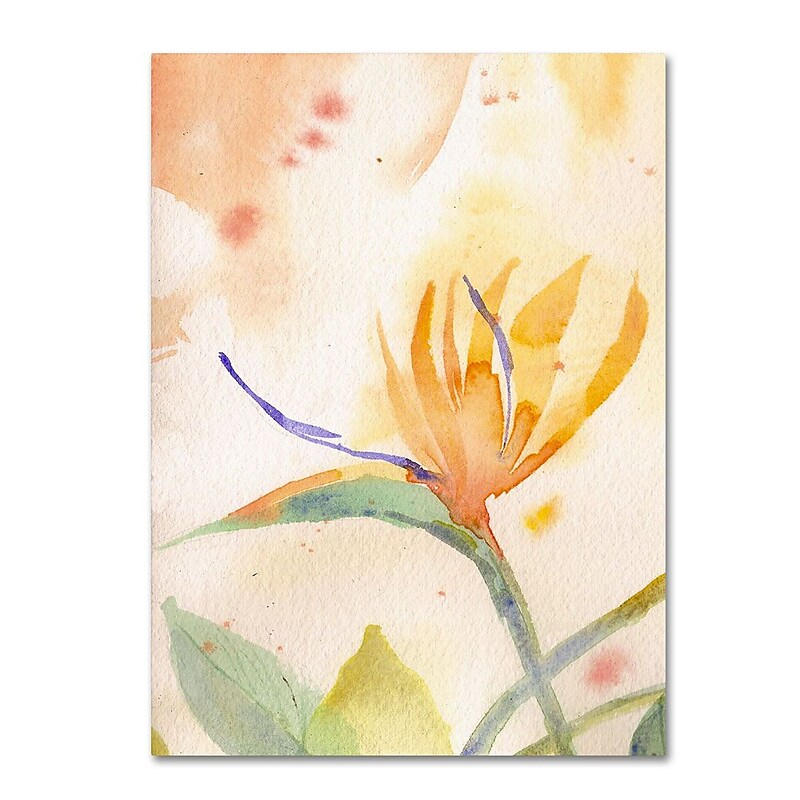 Trademark Fine Art 'Bird of Paradise Tableau' 16" x 24" Canvas Art image 1