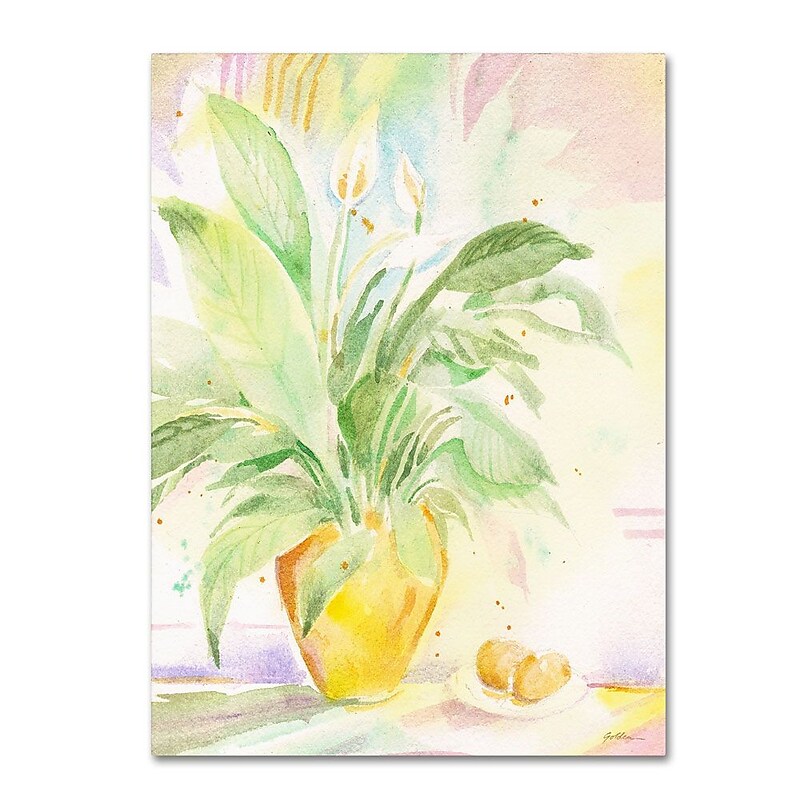 Trademark Fine Art 'The Peace Lily' 35" x 47" Canvas Art image 1