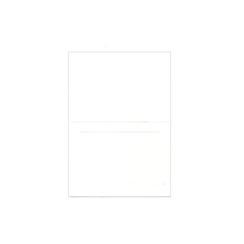 JAM Paper® Blank Foldover Cards, A6 Size, 4 5/8 x 6 1/4, White Panel, 25/Pack (309927C) image 1