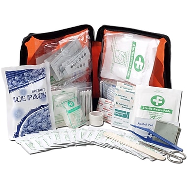 First Aid Essentials Kit, 220 Pieces