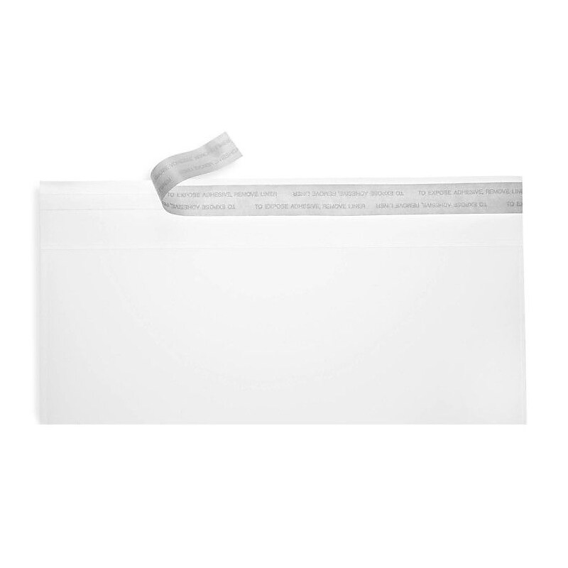 LUX 4 1/8" x 9 1/2" #10 Square Flap Envelopes, Crystal Clear, 1000/BX image 1