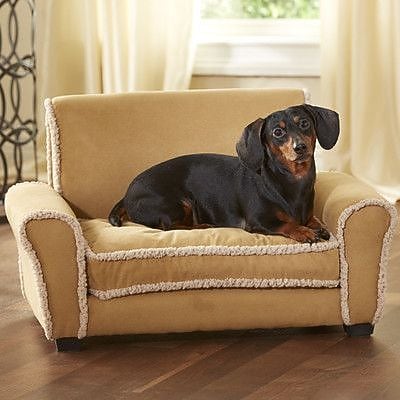 Pet Supplies & Accessories