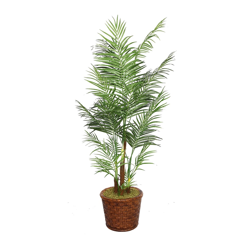 Laura Ashley 81 Areca Palm Tree in 17 Fiberstone Planter