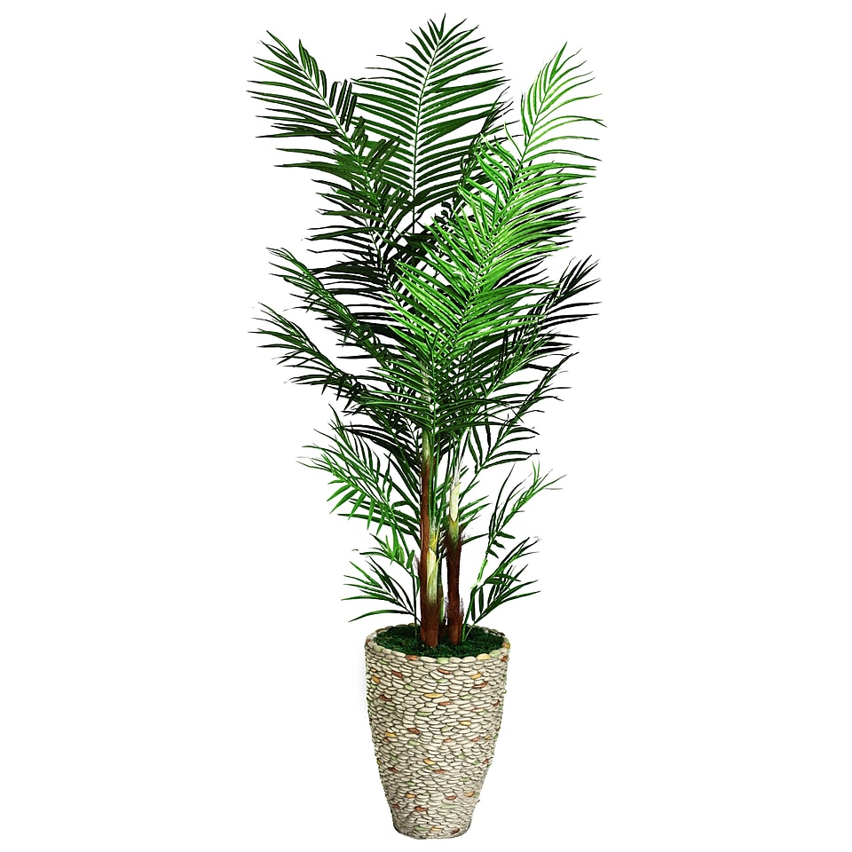 Laura Ashley 90 Areca Palm Tree in 16 Fiberstone Planter