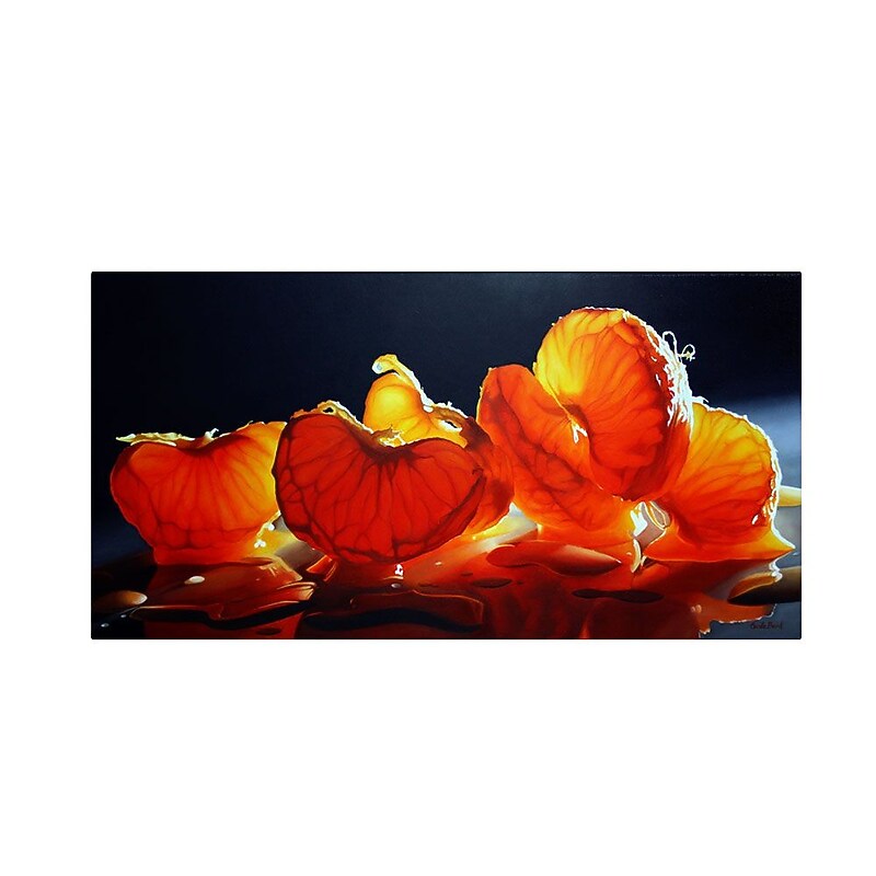 Trademark Fine Art 'Mandarin Orange' 24" x 47" Canvas Art image 1