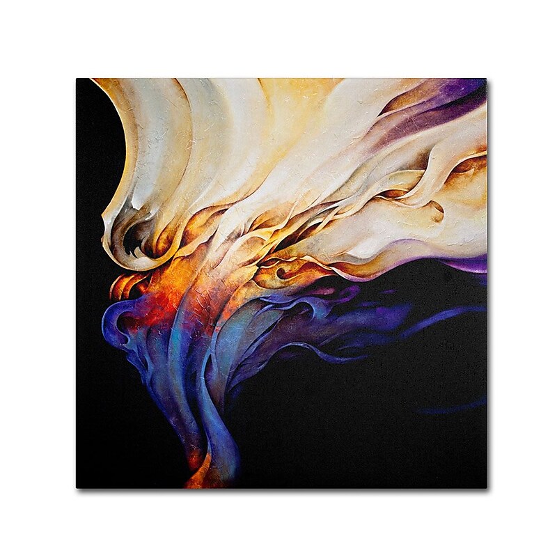 Trademark Fine Art 'Evoke' 14" x 14" Canvas Art image 1