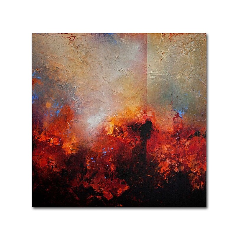 Trademark Fine Art 'Red Earth' 14" x 14" Canvas Art image 1