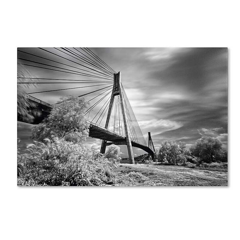 Trademark Fine Art 'First Link' 22" x 32" Canvas Art image 1