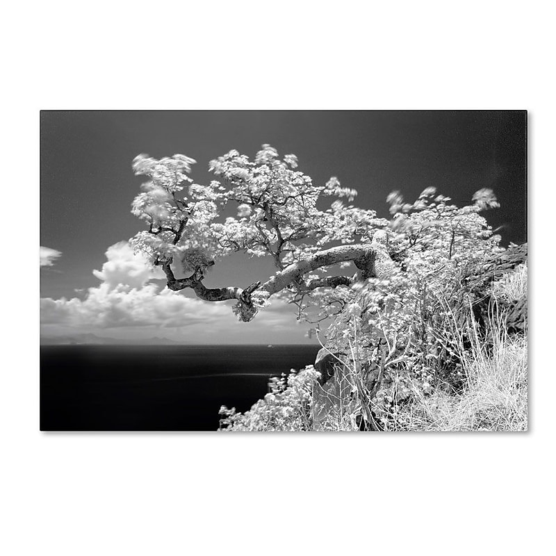 Trademark Fine Art 'Intimate' 22" x 32" Canvas Art image 1