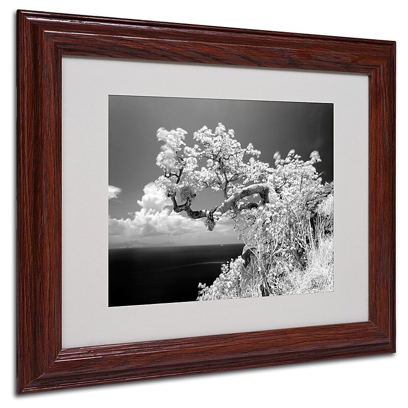 Trademark Fine Art 'Intimate' 11" x 14" Wood Frame Art image 1