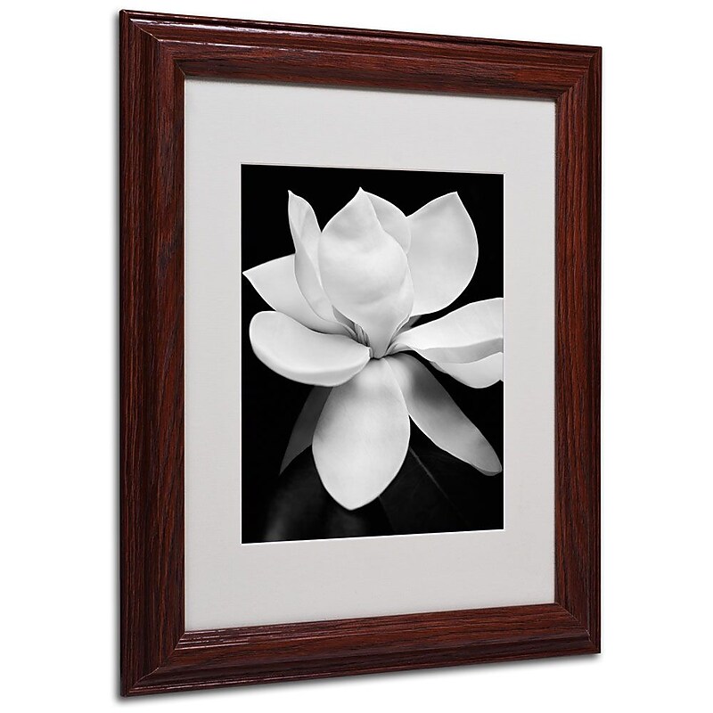 Trademark Fine Art 'Magnolia' 11" x 14" Wood Frame Art image 1
