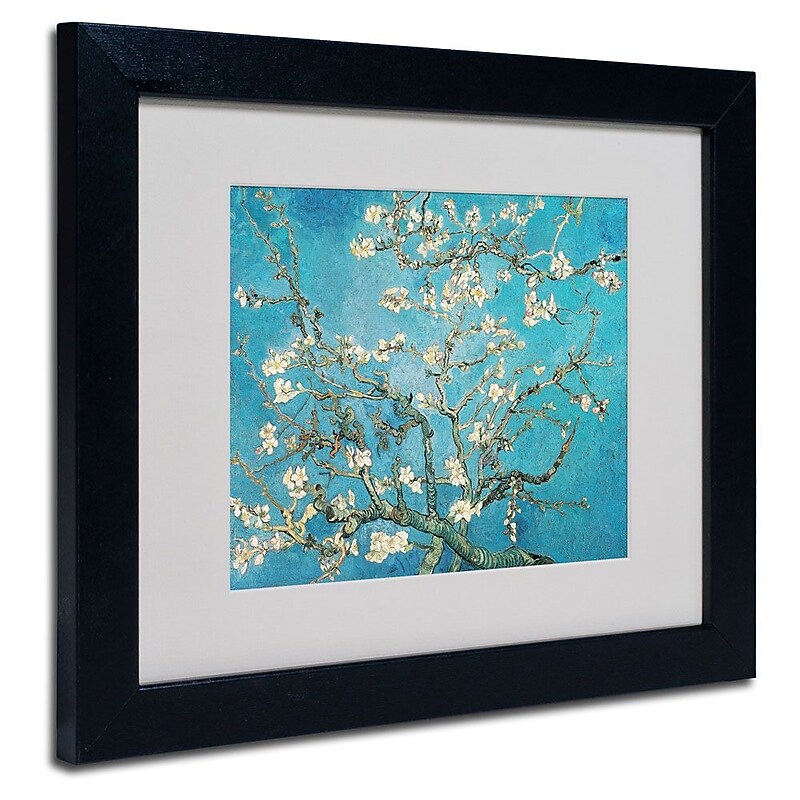 Trademark Fine Art 'Almond Branches' 11" x 14" Black Frame Art image 1