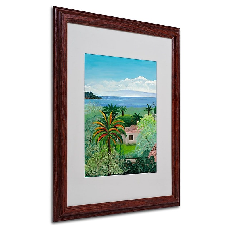 Trademark Fine Art Costa Rican Beach' 16" x 20" Wood Frame Art image 1