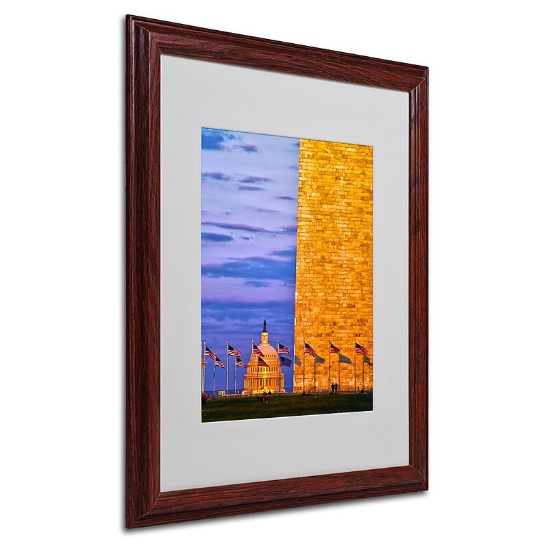 Trademark Fine Art 'America' 16" x 20" Wood Frame Art image 1