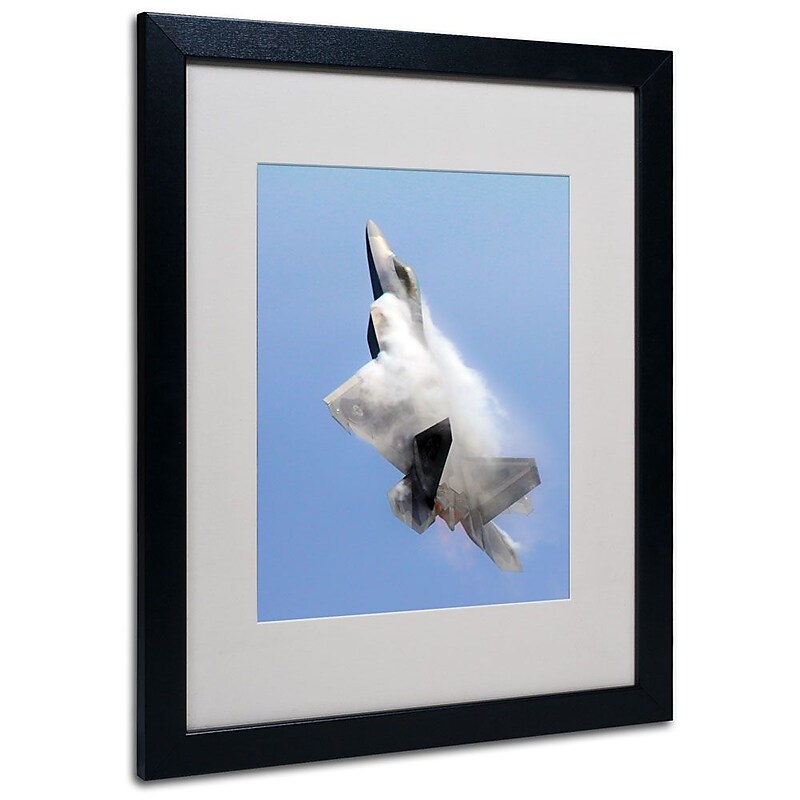 Trademark Fine Art 'Soaring' 16" x 20" Black Frame Art image 1
