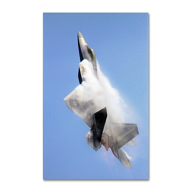 Trademark Fine Art 'Soaring' 30" x 47" Canvas Art image 1