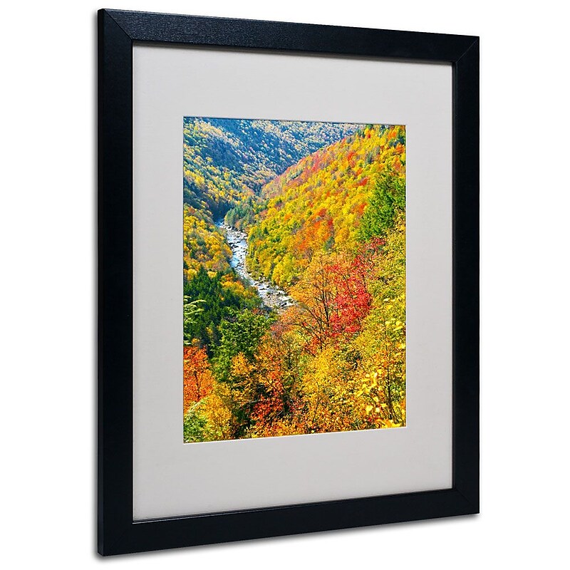 Trademark Fine Art 'Valley' 16" x 20" Black Frame Art image 1