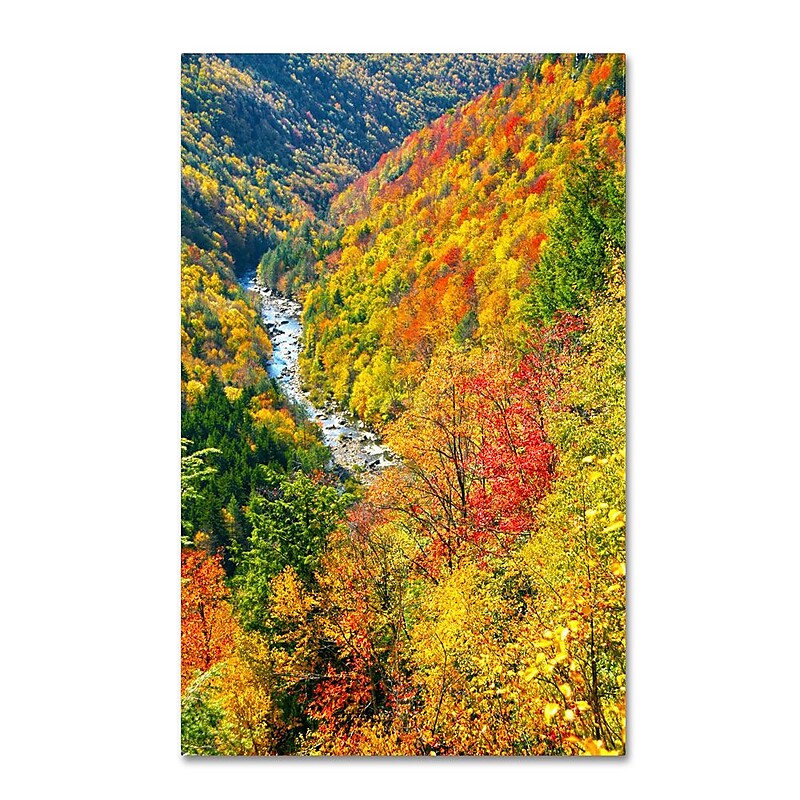 Trademark Fine Art 'Valley' 16" x 24" Canvas Art image 1