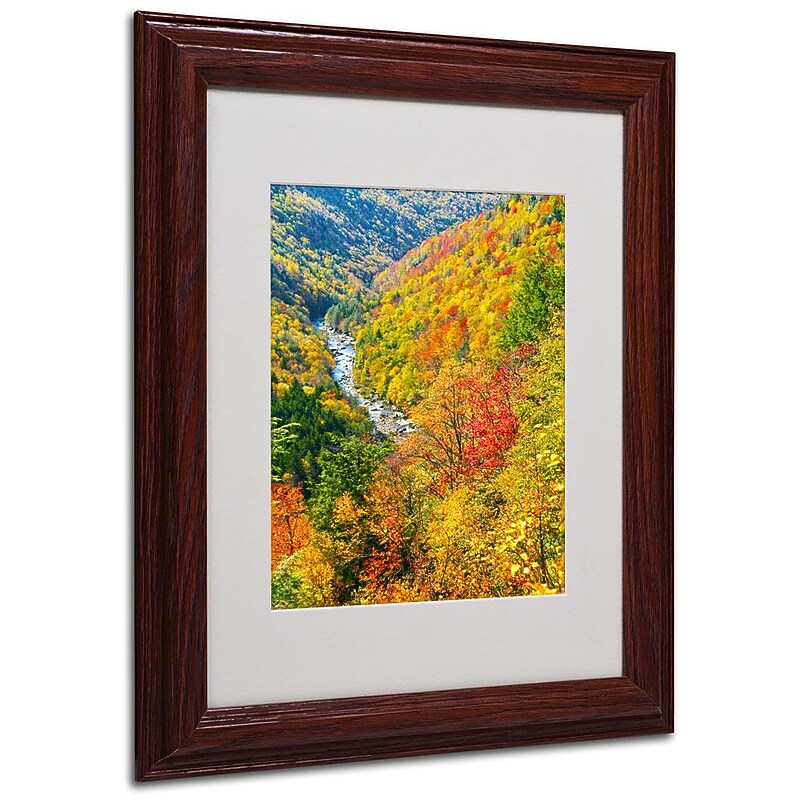 Trademark Fine Art 'Valley' 11" x 14" Wood Frame Art image 1