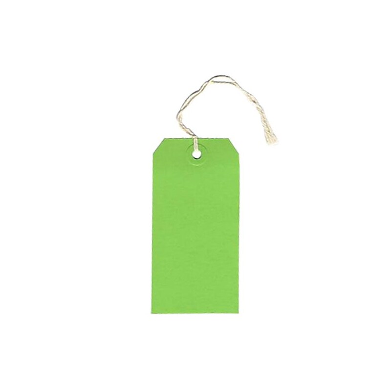 JAM Paper® Gift Tags with String, Medium, 2 3/8 x 4 3/4, Green, 10/pack (39197116) image 1