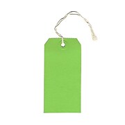JAM Paper® Gift Tags with String, Medium, 2 3/8 x 4 3/4, Green, 10/pack (39197116)