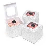 HBH™ Pearl Flourish Cupcake Boxes, White