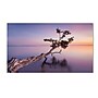 Trademark Fine Art 'Water Tree XV' 14" x 24" Canvas Art~#|#~m000236277_sc7