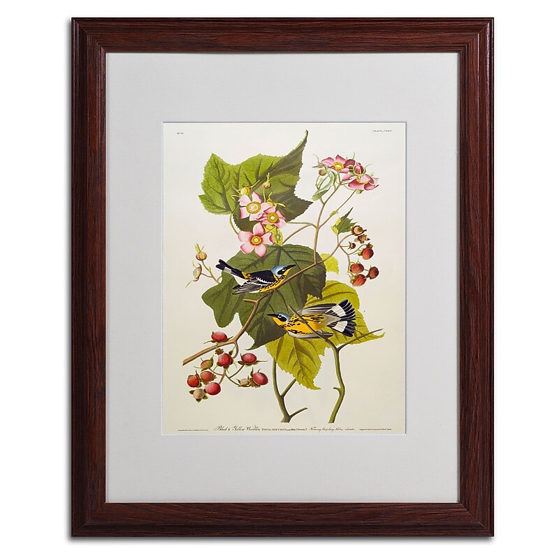 Trademark Fine Art 'Black and Yellow Warbler' 16" x 20" Wood Frame Art image 1