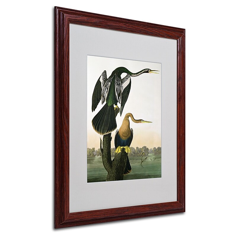 Trademark Fine Art 'Black-Billed Darter' 16" x 20" Wood Frame Art image 1
