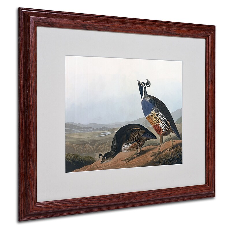Trademark Fine Art 'Californian Partridge' 16" x 20" Wood Frame Art image 1