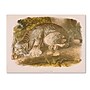 Trademark Fine Art 'Canada Lynx' 14" x 19" Canvas Art~#|#~m000236712_sc7