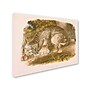 Trademark Fine Art 'Canada Lynx' 14" x 19" Canvas Art~#|#~m000236713_sc7