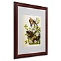 Trademark Fine Art 'Carolina Turtledove' 16" x 20" Wood Frame Art~#|#~m000236736_sc7