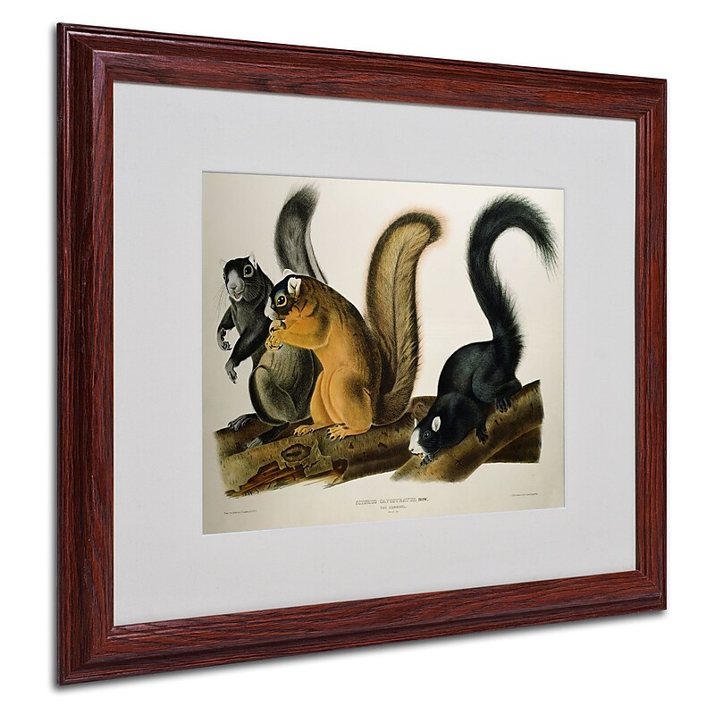 Trademark Fine Art 'Fox Squirrel' 16" x 20" Wood Frame Art image 1