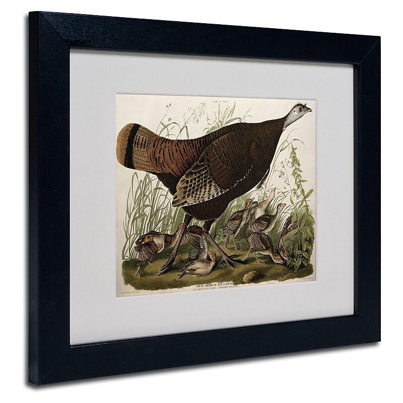Trademark Fine Art 'Great American Hen and Young' 11" x 14" Black Frame Art image 1