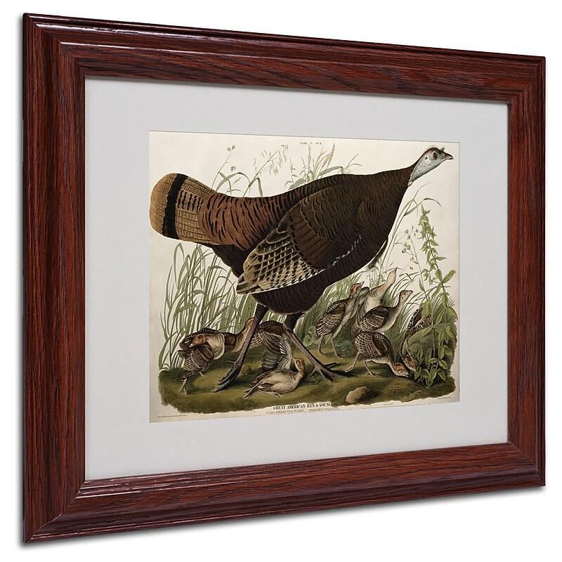 Trademark Fine Art 'Great American Hen and Young' 11" x 14" Wood Frame Art image 1