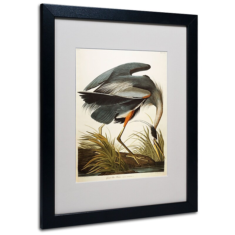 Trademark Fine Art 'Great Blue Heron' 16" x 20" Black Frame Art image 1