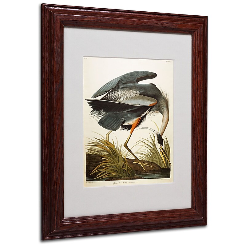 Trademark Fine Art 'Great Blue Heron' 11" x 14" Wood Frame Art image 1