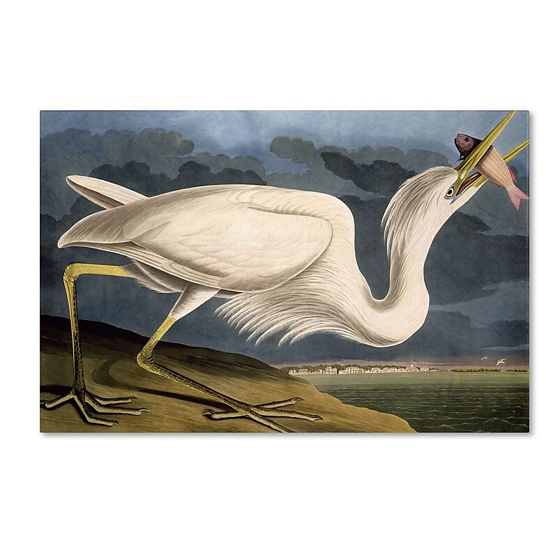 Trademark Fine Art 'Great White Heron' 16" x 24" Canvas Art image 1