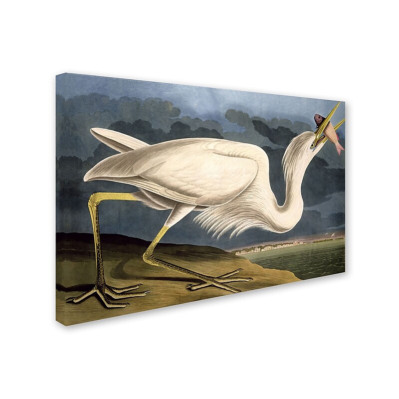 Trademark Fine Art 'Great White Heron' 30" x 47" Canvas Art image 1