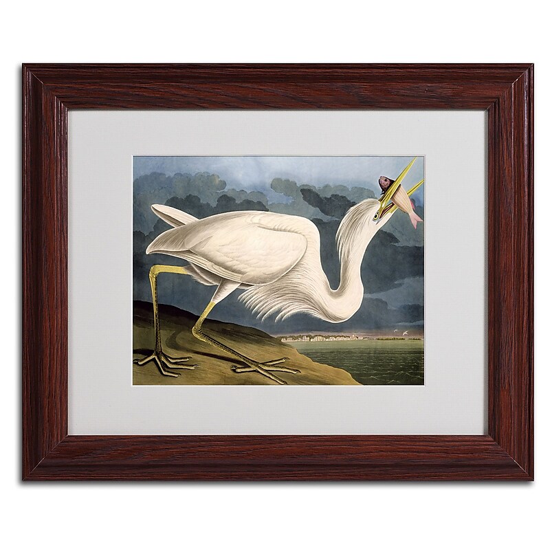 Trademark Fine Art 'Great White Heron' 11" x 14" Wood Frame Art image 1