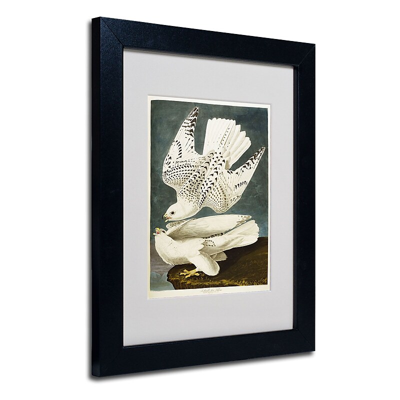 Trademark Fine Art 'Iceland or Jer Falcon' 11" x 14" Black Frame Art image 1