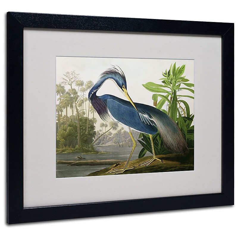 Trademark Fine Art 'Louisiana Heron' 16" x 20" Black Frame Art image 1
